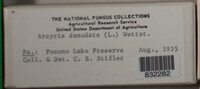 Image Associated With the Occurence
